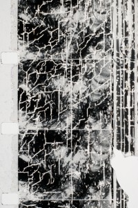 Reticulated Film Emulsion