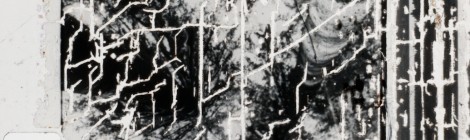 Reticulated Film Emulsion