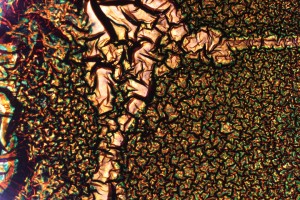 Color Bleach Etch