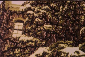 Color Bleach Etch
