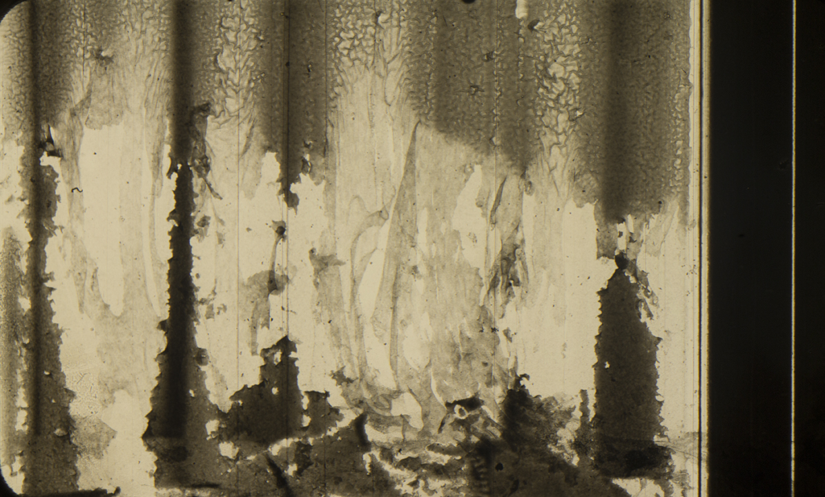 Reticulation Emulsion lift