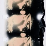 Emulsion